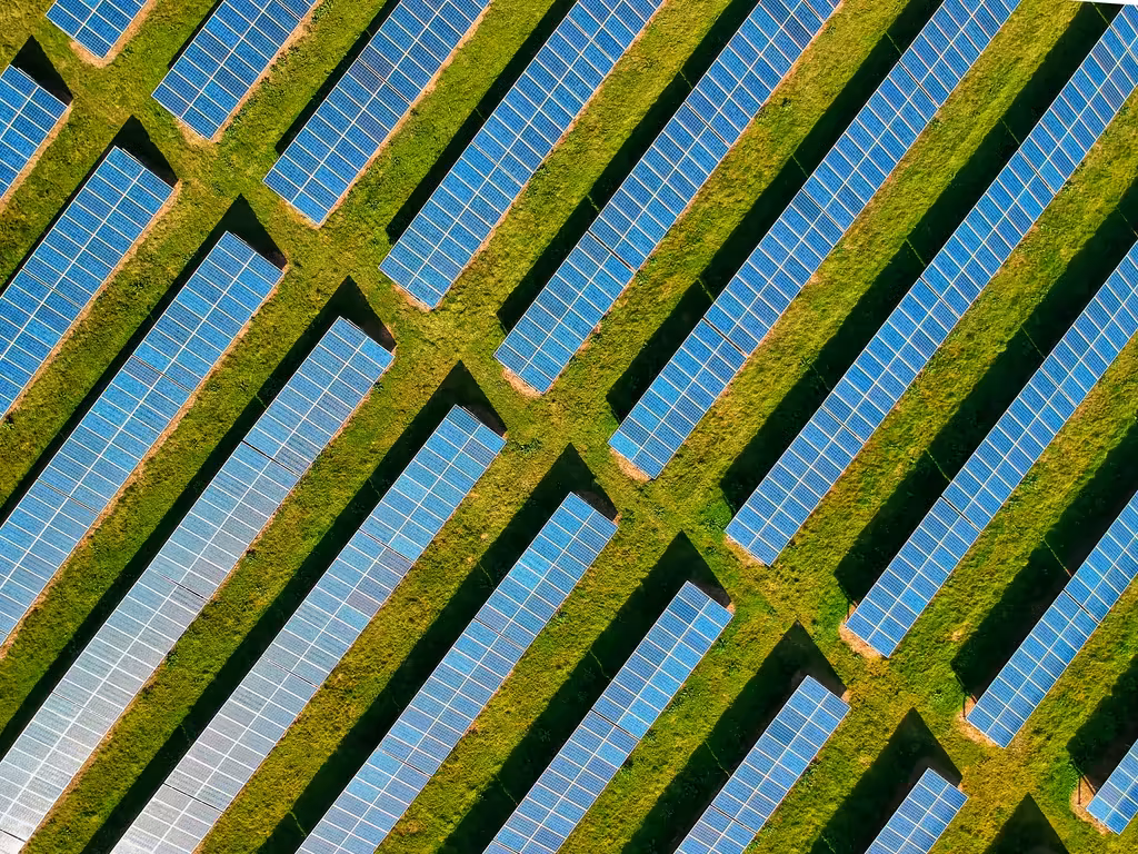 Aerial view of rows of solar panels